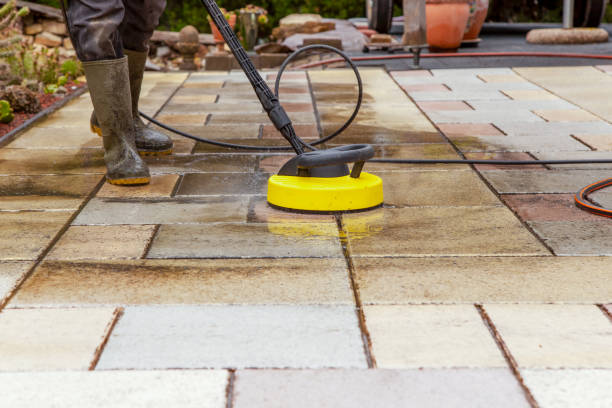 Animal Enclosure Cleaning in Mcminnville, OR